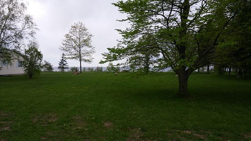 2nd image of 3567 Bluff Rd
