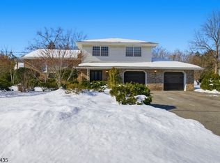 115 Griffith Dr, Hanover Twp., NJ 07981