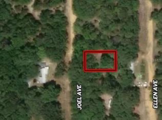 LOT 11 Joel Ave LOT 11, Interlachen, FL 32148