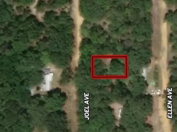 LOT 11 Joel Ave Lot 11, Interlachen, FL 32148