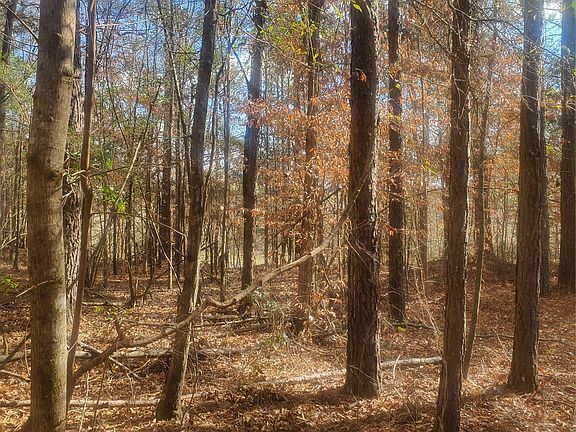 5th image of 0 Pleasant Hill Rd