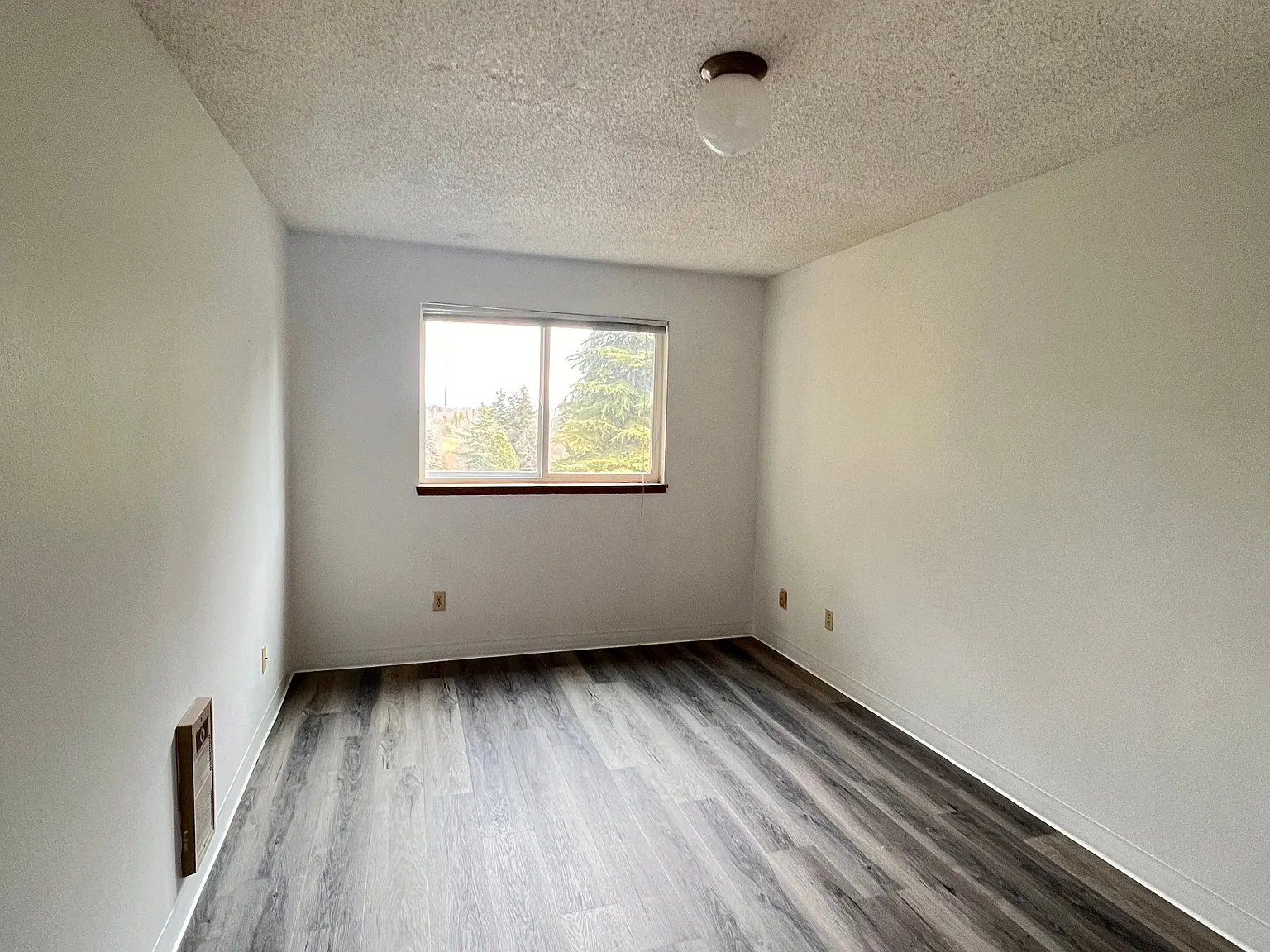 1 bed, 580 sqft, $1,600 — Photo 2