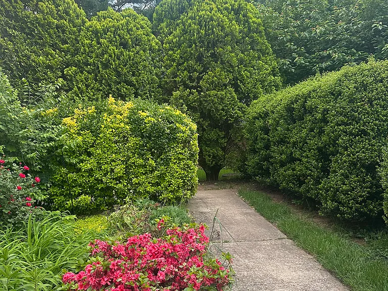 Wedgeway Ct — Photo 21