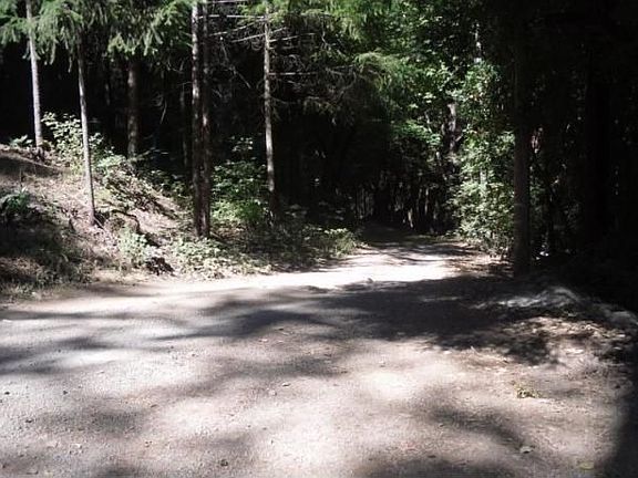 3rd image of 9540 Lovina Dr S