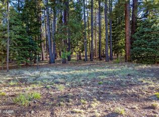 10 N 1337th, Greer, AZ 85927