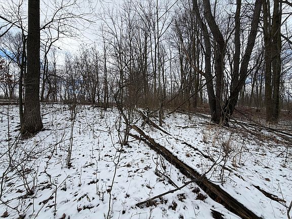3rd image of LOT 65 Hosford Dr