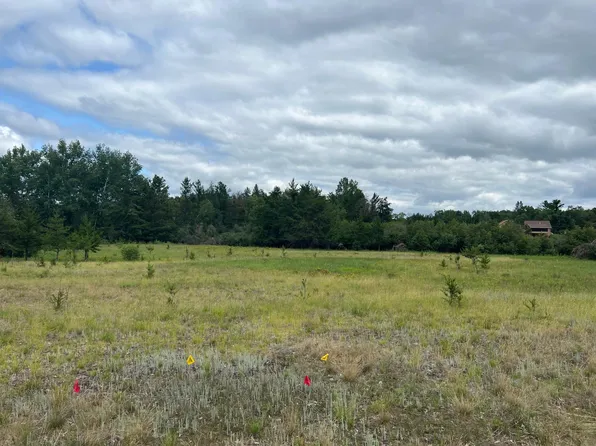 24421 Fishtrap Rd, Nisswa, MN 56468