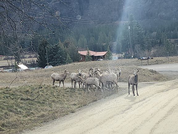3rd image of 9 Henry Creek Rd