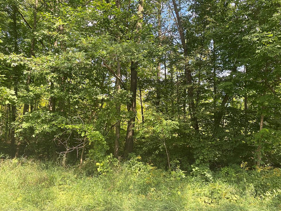 2nd image of PARCEL 96th St #A