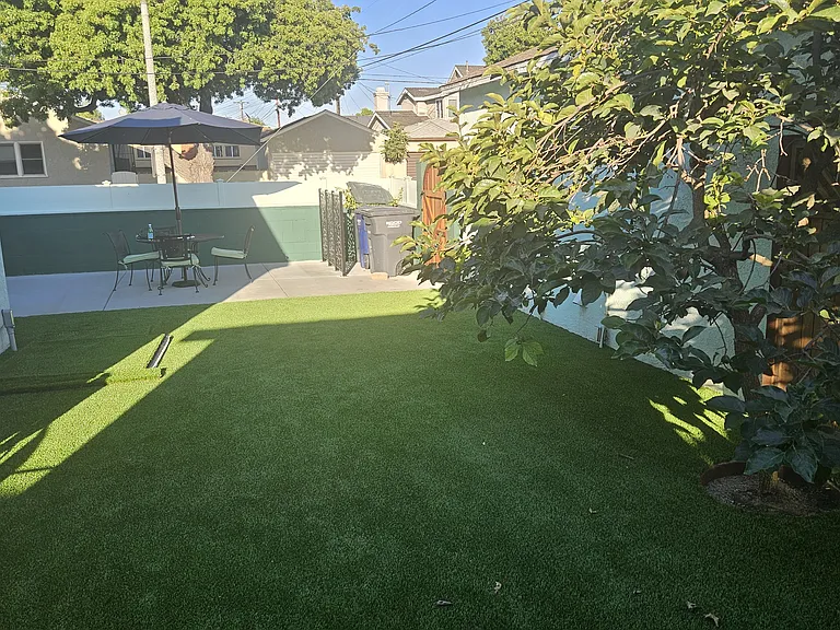 backyard