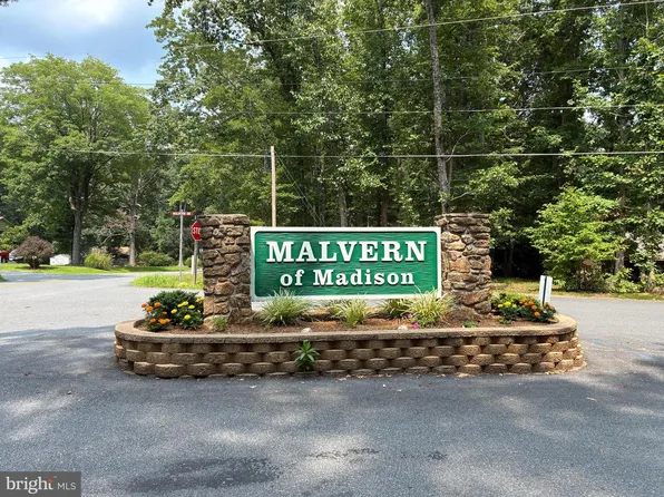 60 Bee Gum Way, Madison, VA 22727