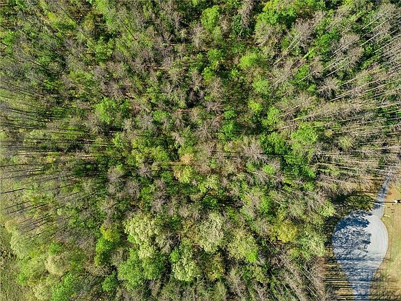 4th image of 11 Harris Loop #11