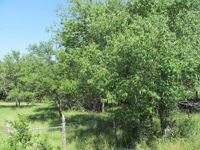 1st image of 215 Kerrville South Dr