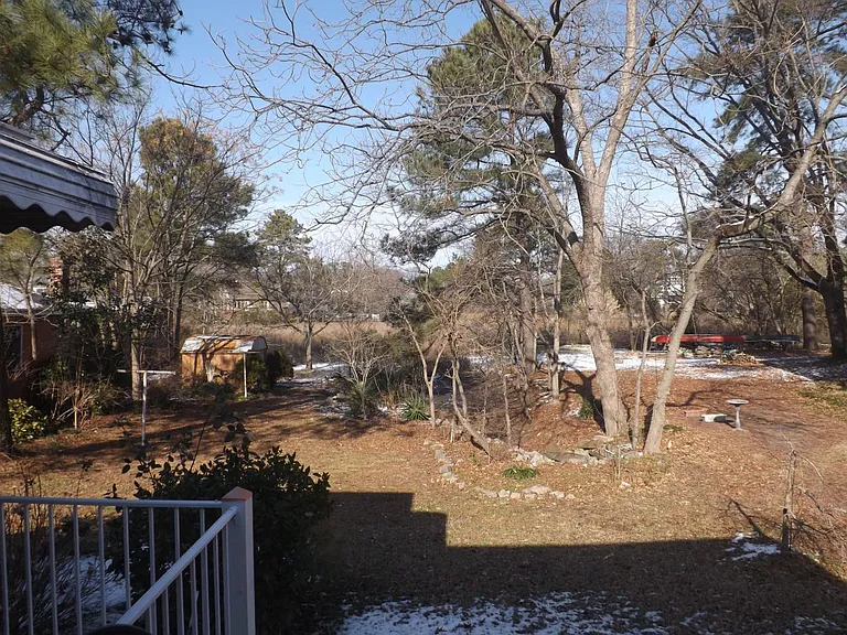 back yard