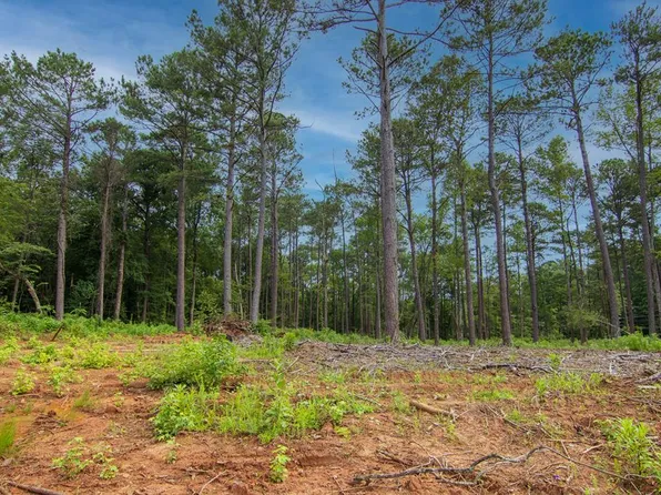 0 Fortune Hole Rd, Hamilton, GA 31811