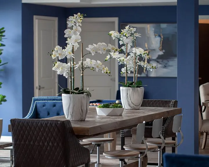 The Ivy at NOHO — Photo 20