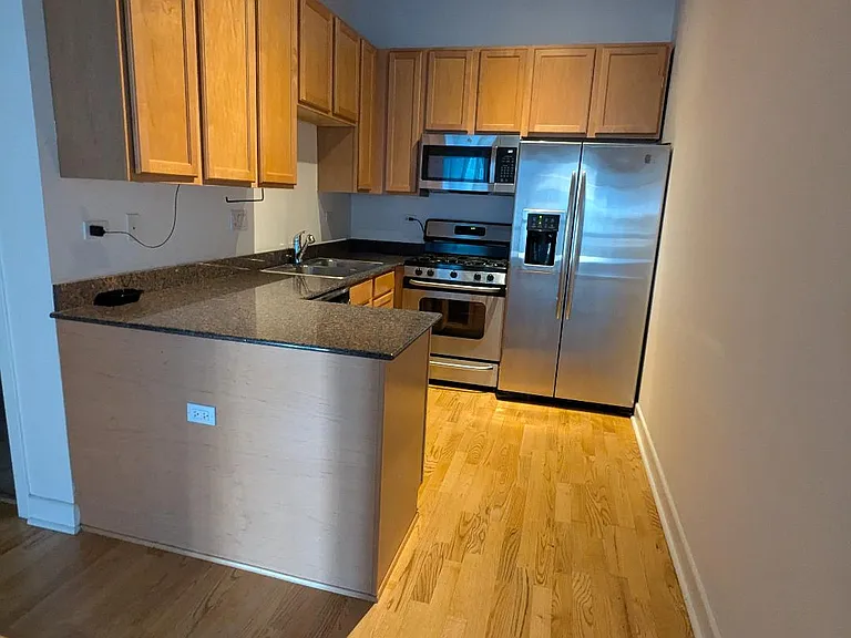 1305 S Michigan Ave #1109 — Photo 3