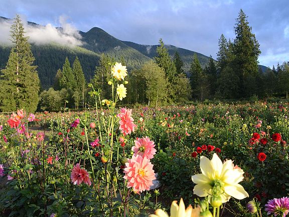 4th image of 13842 Spratt Rd