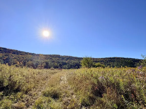 L36 St Rt 30 Off, Gilboa, NY 12076