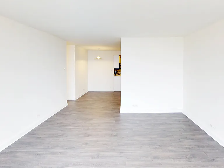 Dining/Living room