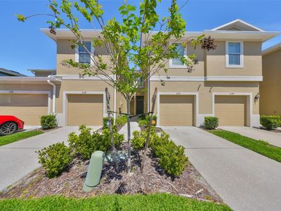 2138 Broadway View Ave, Brandon, FL, 33510