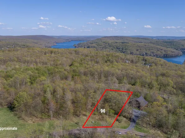 96 Black Diamond Ct, Mc Henry, MD 21541