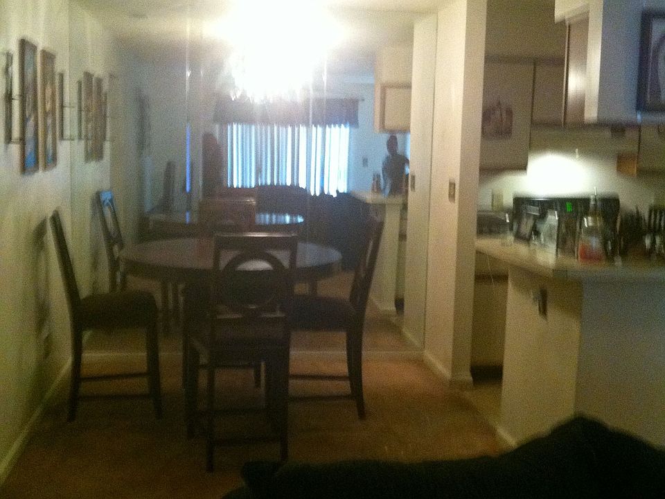 1st image of 539 Pineland Cir APT 204