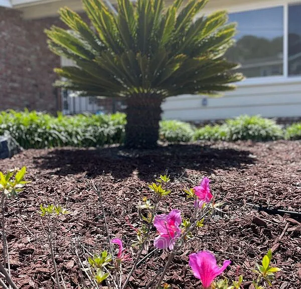 16233 San Remo Dr — Photo 47