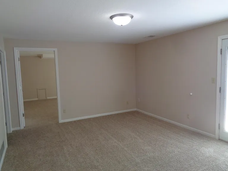 3801 Blue Cedar Ln — Photo 18