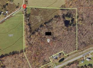 168 George Peasley Road, Mc Donough, NY 13758