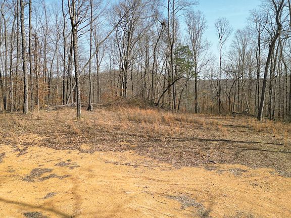 5th image of 5 Primm Rd