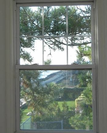 View from Front Window