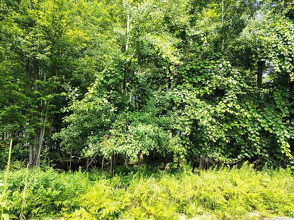 5th image of 2 Chippewa Trl