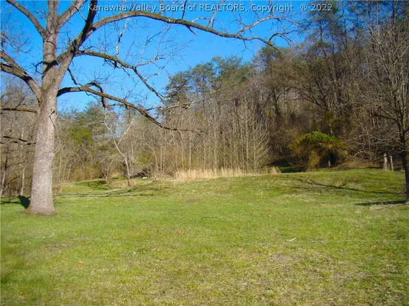 0 Coleman Creek Rd, Fraziers Bottom, WV 25082