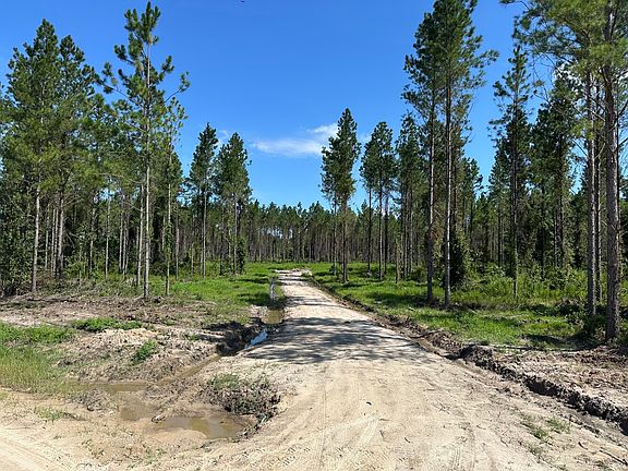 3rd image of 3000 Buck Swamp Rd Lot 7
