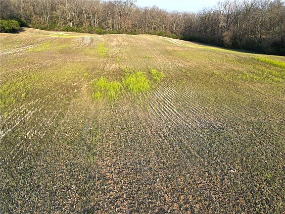 2nd image of TRACT 3 Middle Urbana Rd