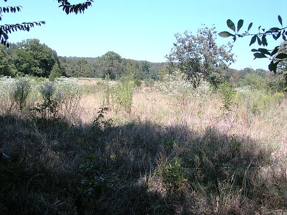 2nd image of 23 Hootie Loop