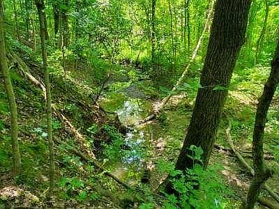 1st image of 432 Jefferson Valley
