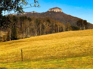 679 Mount Zion Rd, Pinnacle, NC 27043