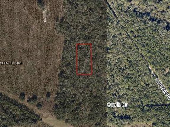 3rd image of O'Nw Possum Path