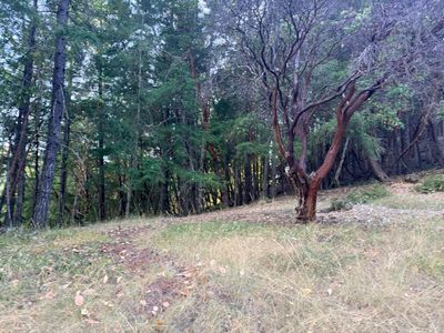 26940 Bear Drive, Willits, CA, 95490