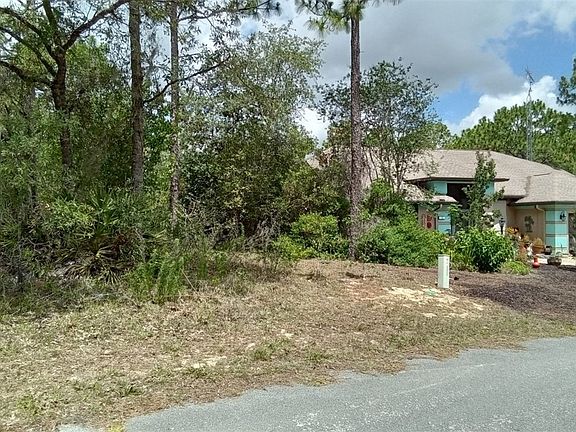 3rd image of 18 Drypetes Ct W