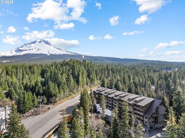 31200 E Collins Lake Rd #1, Government Camp, OR 97028