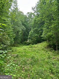 2nd image of 0 Log Cabin Rd