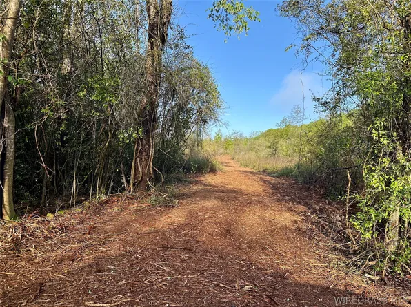 N County Road 61, Hartford, AL 36344