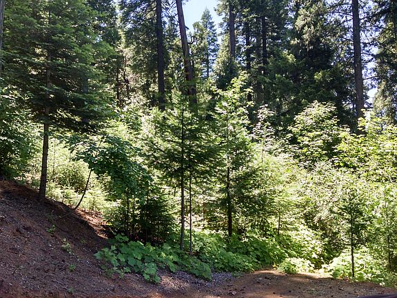 2nd image of 6301 Topaz Dr