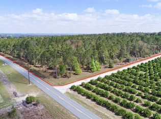 Gospel Hill Rd, Leesburg, FL 34748