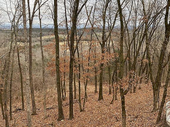 2nd image of 1224 County Road 246