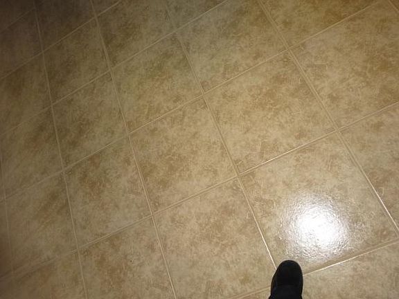 5th image of 1031 W Latham Ave APT I