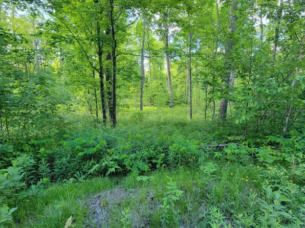 Brady Ln, Elcho, WI 54428